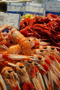 hiszpania wycieczki objazdowe