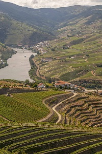 wycieczka do porto