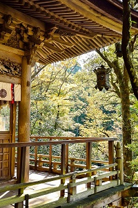 wycieczka do japonii