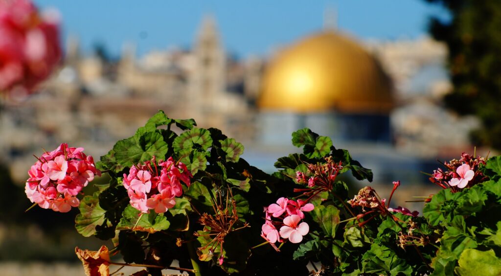 wycieczka do izraela