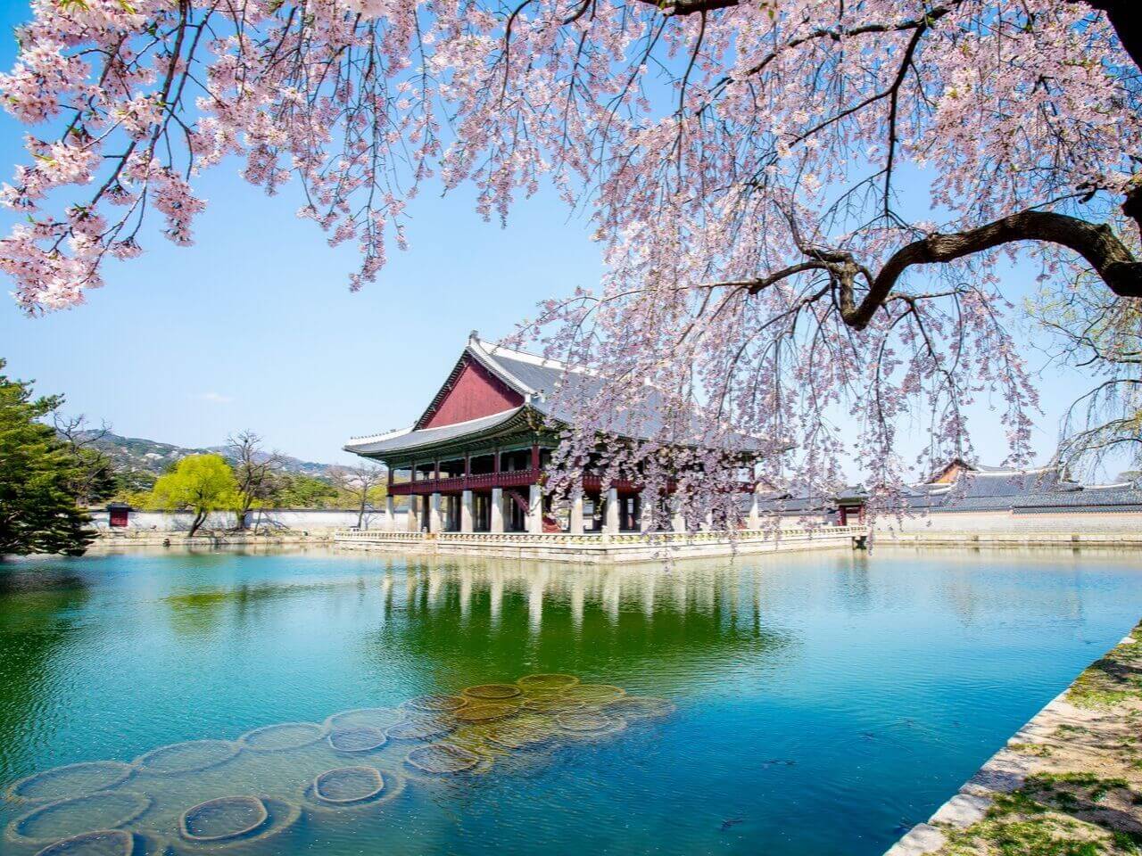 Pielgrzymka do Korei i na Jeju